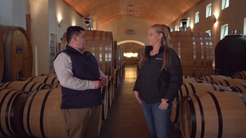 A qué vino T3 Cap. 6 Enoturismo en Viña San Pedro