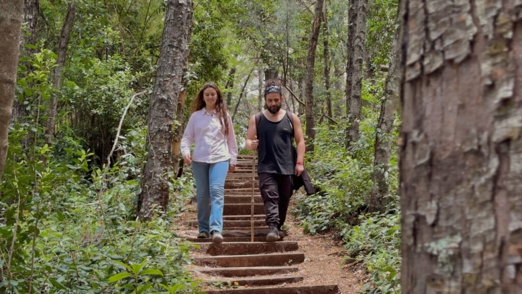 Recorriendo los Bosques de Roble y Coihue en la zona central de Chile