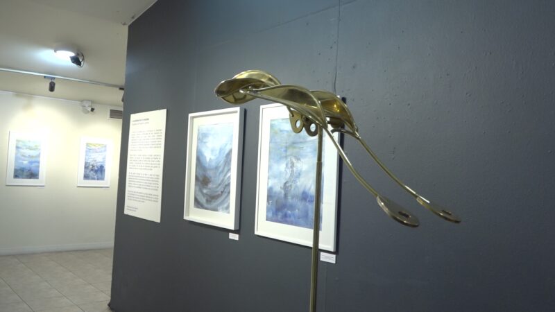 Exposición invita a reflexionar sobre la contaminación de los océanos